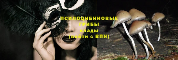 каннабис Бородино