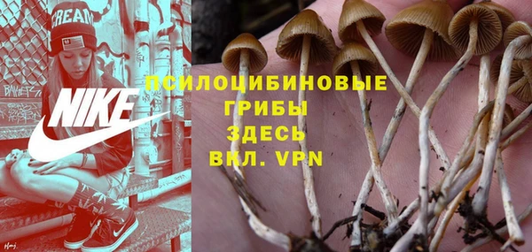 прущие крисы Бронницы