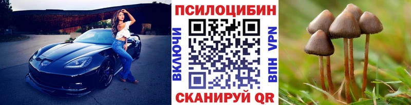Псилоцибиновые грибы Magic Shrooms  Кувшиново 